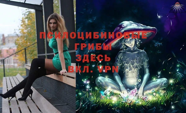прущий лед Балахна